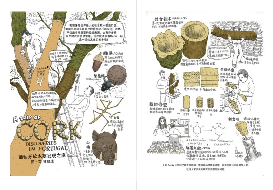 Denis老师的葡萄牙软木之旅手绘