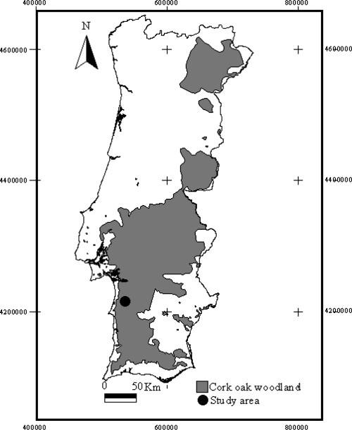 栓皮栎林的分布地区-葡萄牙软木协会